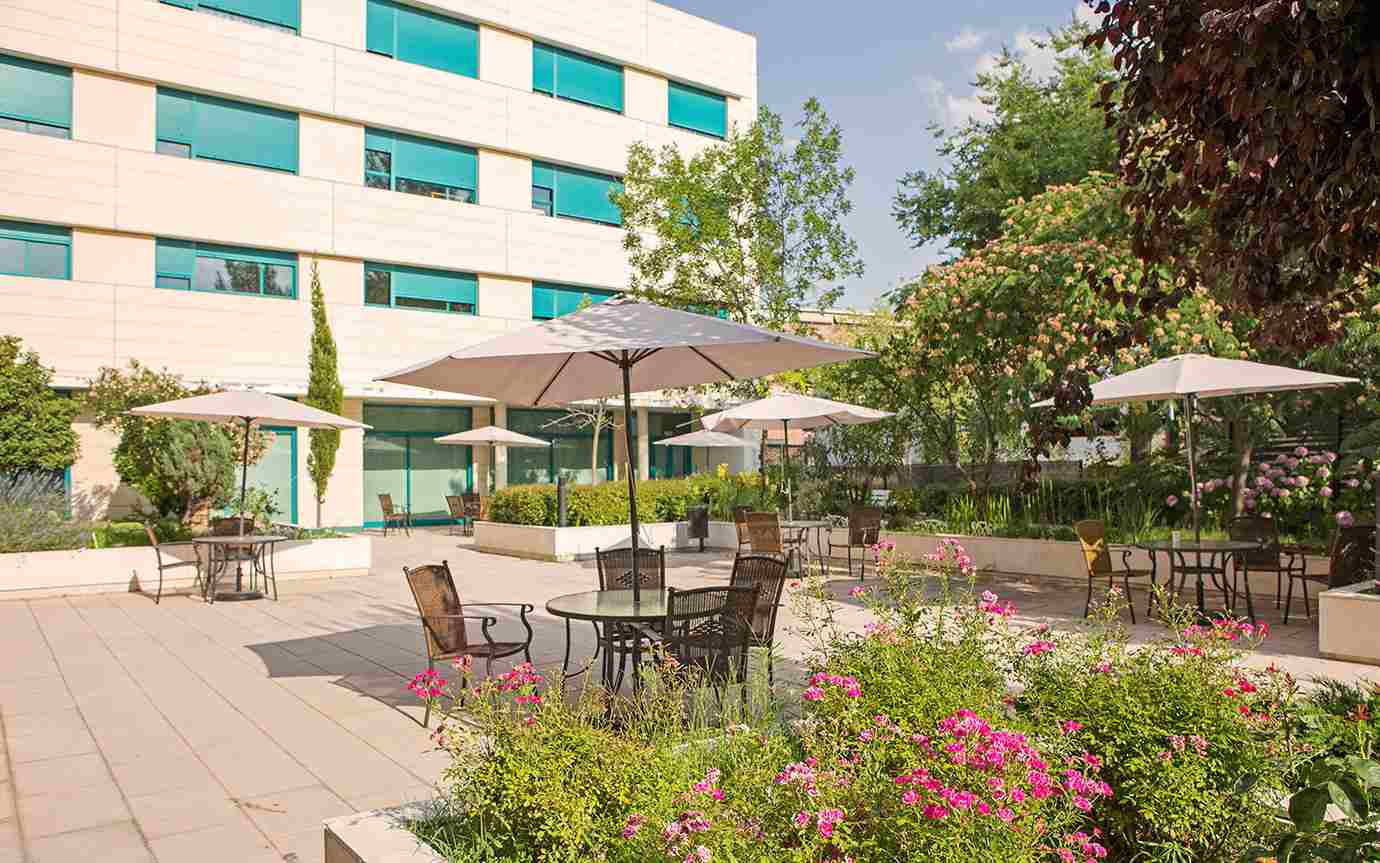 Residencia Madrid Buenavista jardines